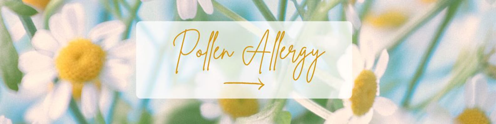pollen allergy blog post