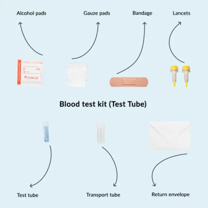Blood test kit